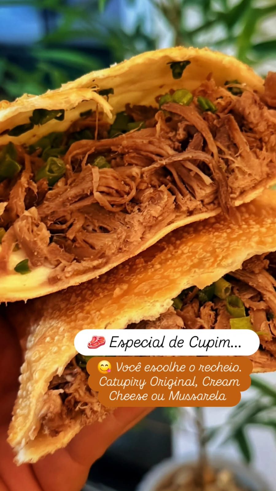 🥩 Pastel Especial de Cupim