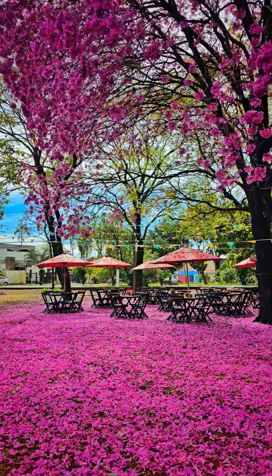 Fritter 📍 Unidade 1 - Praça, foto 2