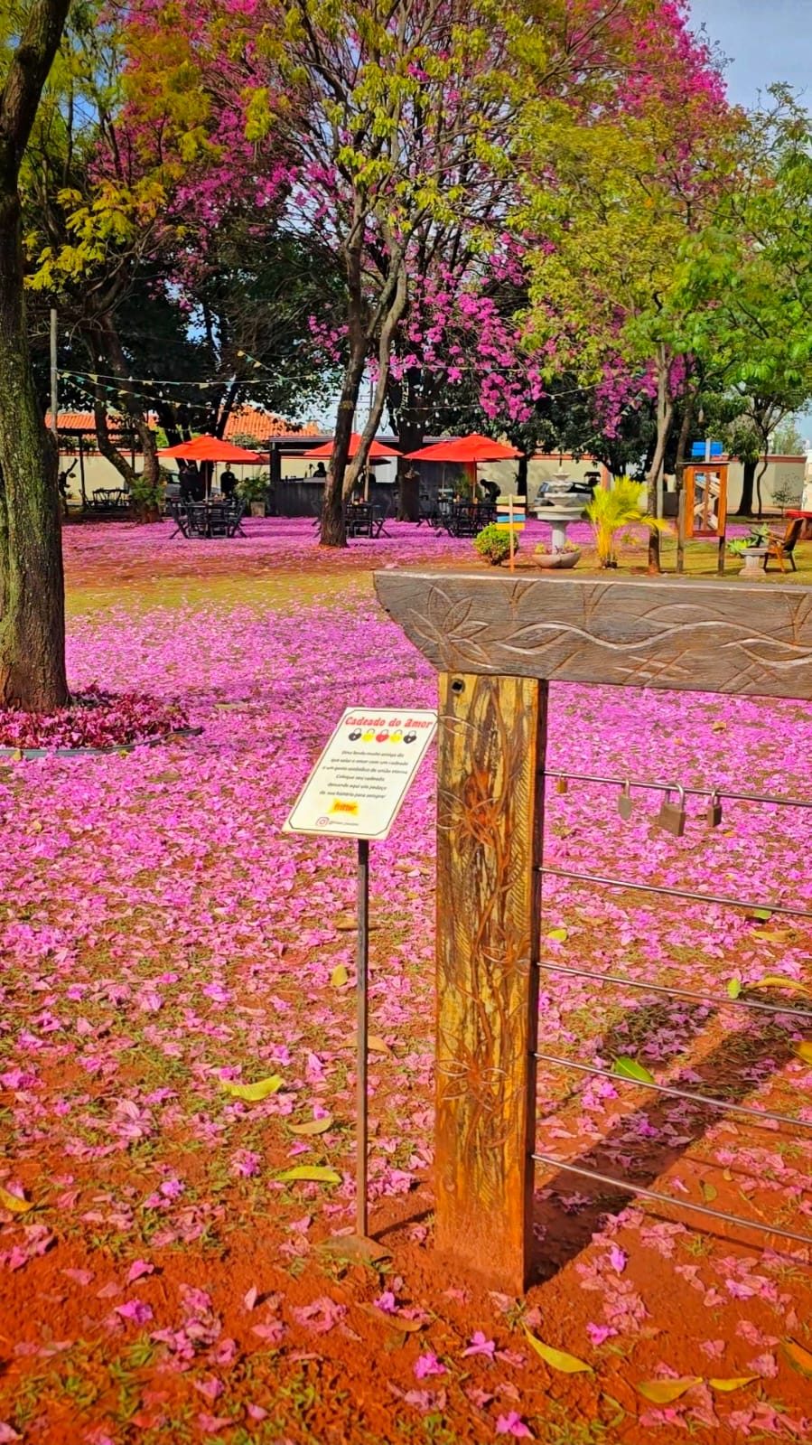 Fritter 📍 Unidade 1 - Praça, foto 3